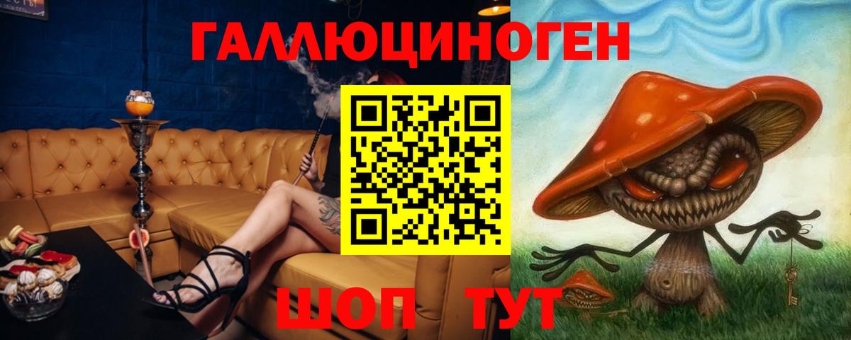 дарнет шоп  Вход с VPN  Сланцы  Галлюциногенные грибы ЛСД 